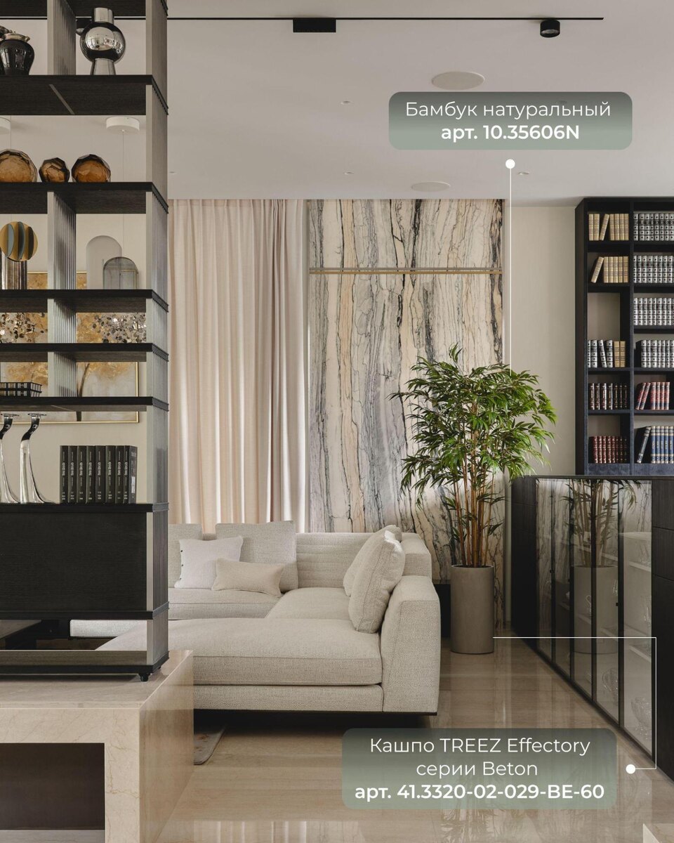 Растения и кашпо TREEZ