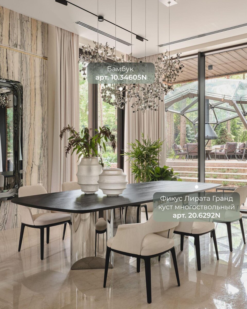 Растения и кашпо TREEZ