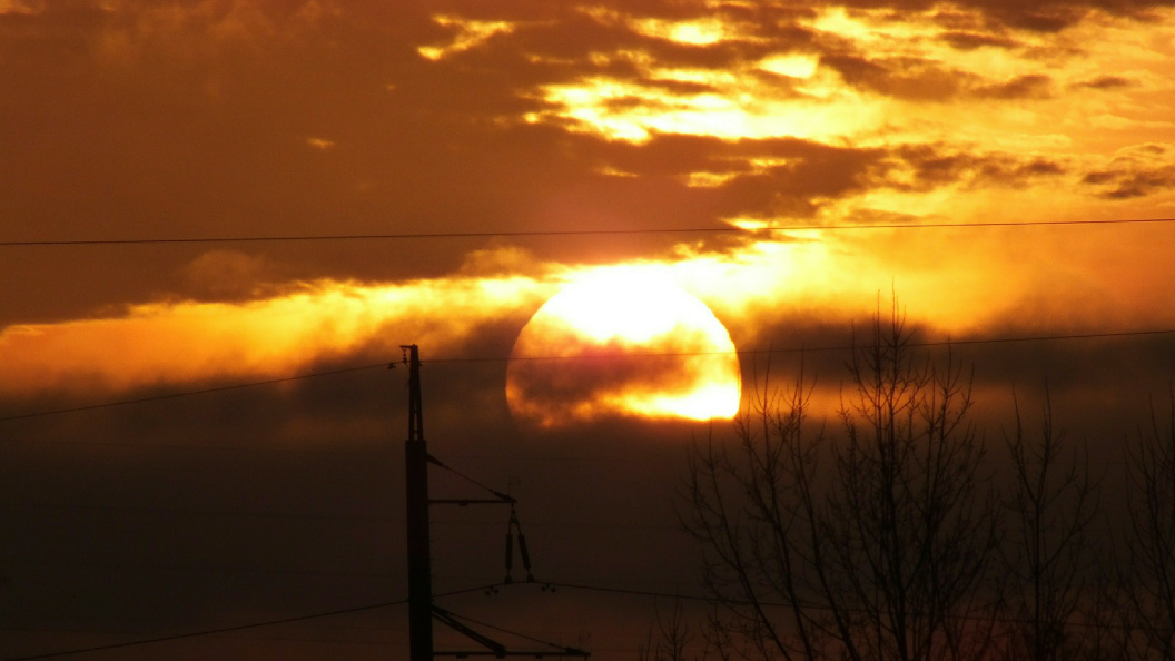    Victor Lisitsyn/Global Look Press/Globallookpress