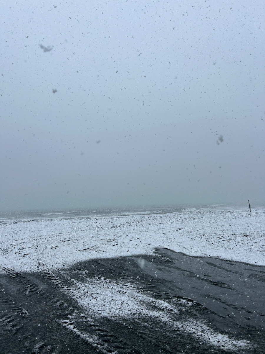 Вчерашнее фото в самом начале снегопада