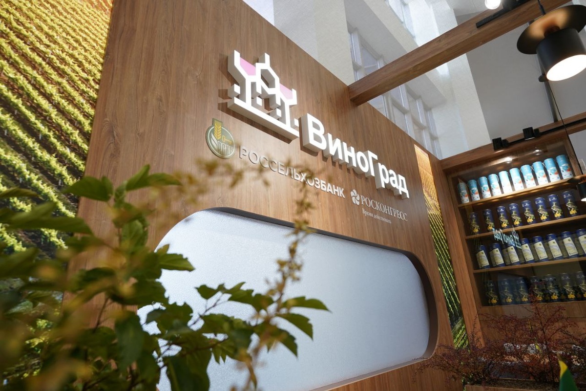 Площадка «ВиноГрад» 