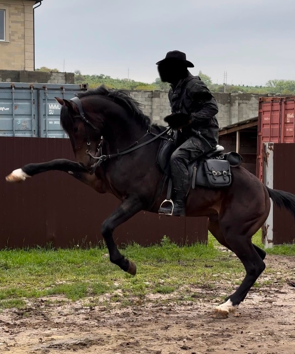 Характеристики