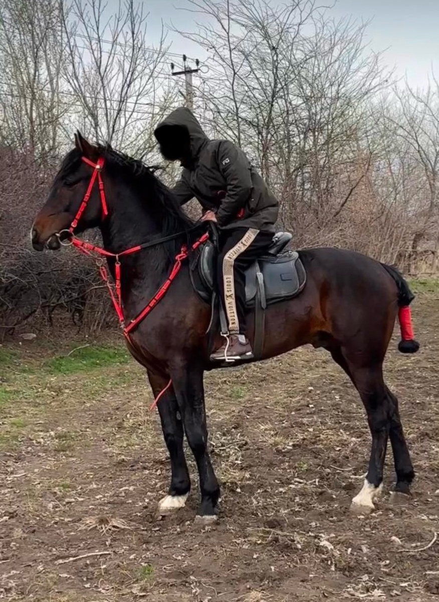 Особенности 