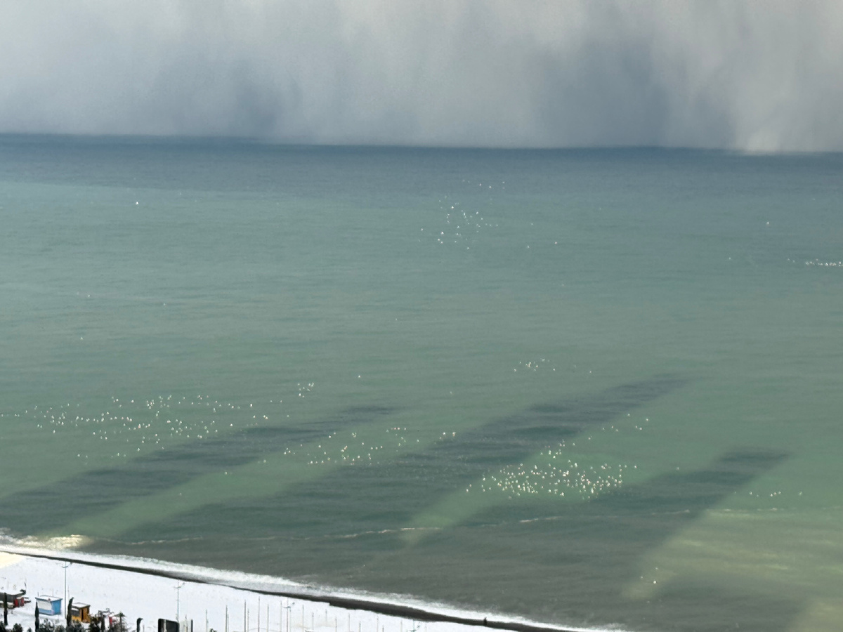 Грядет снежная буря с моря. Фото наше.