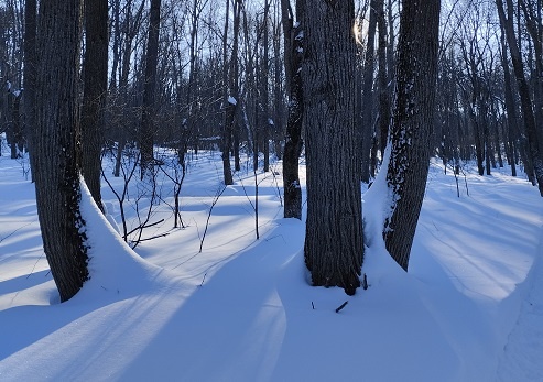 Фотография из личного архива автора