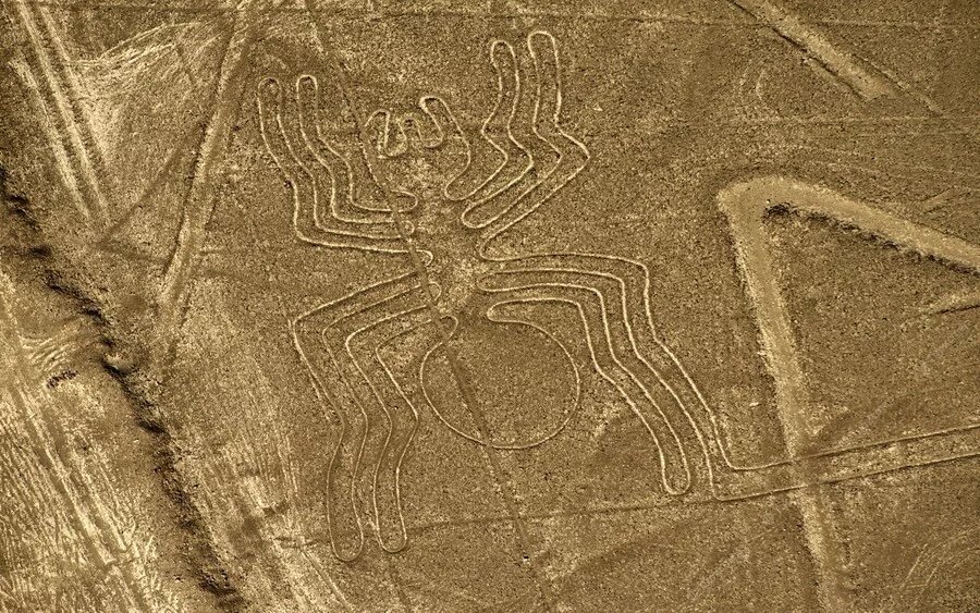 Изображение не нарушает правил платформы (Взято из открытых интернет-источников: marinaridi.tourister.ru)