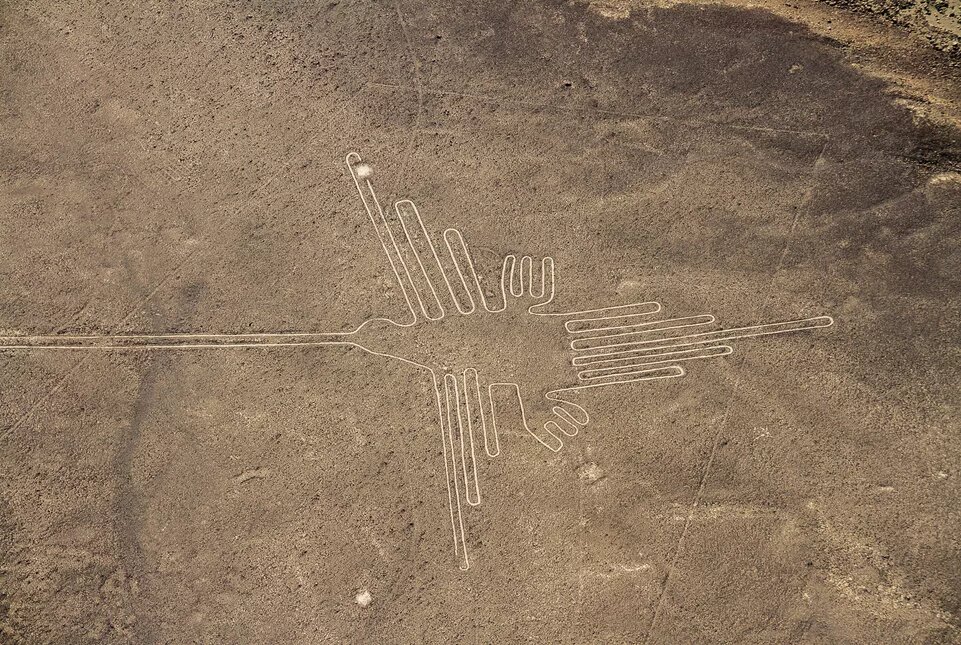 Изображение не нарушает правил платформы (Взято из открытых интернет-источников: nauka.tass.ru)