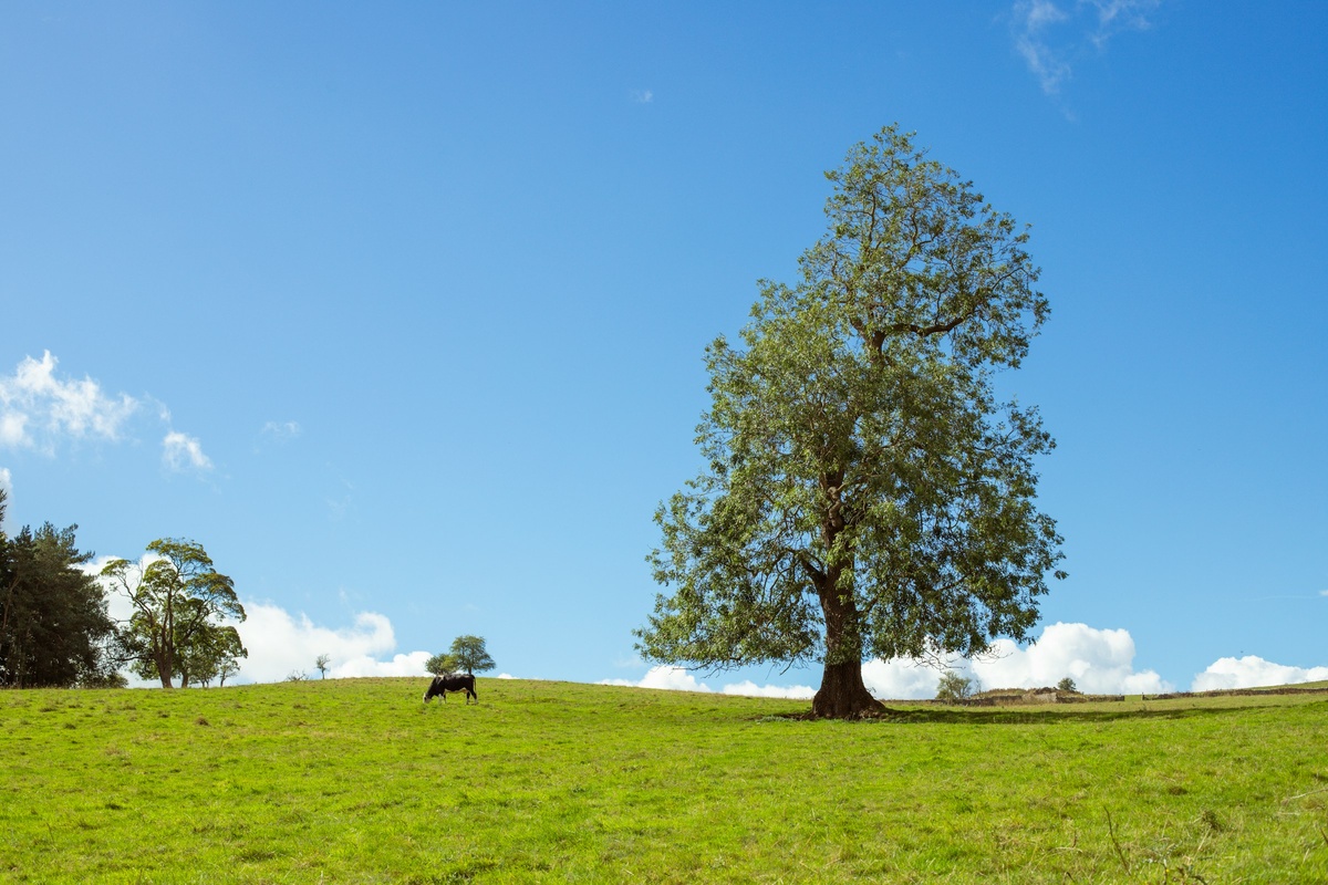 Фото с бесплатного фотостока https://unsplash.com, автор SALEH