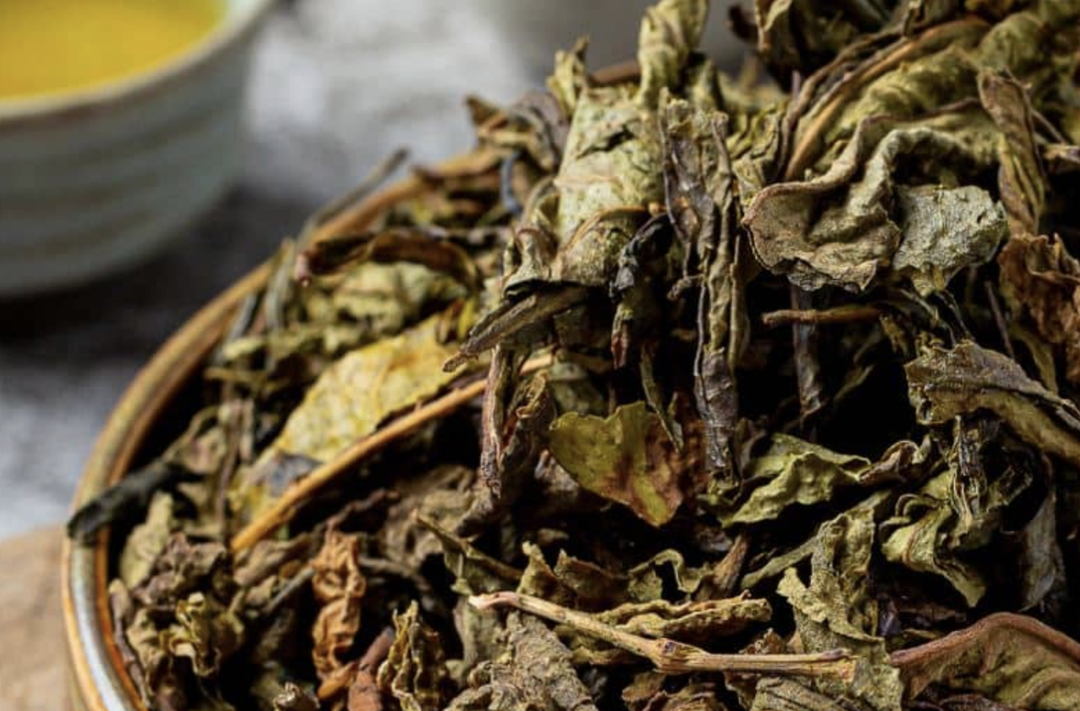 Чай ГАБА. Источник: Thee.be