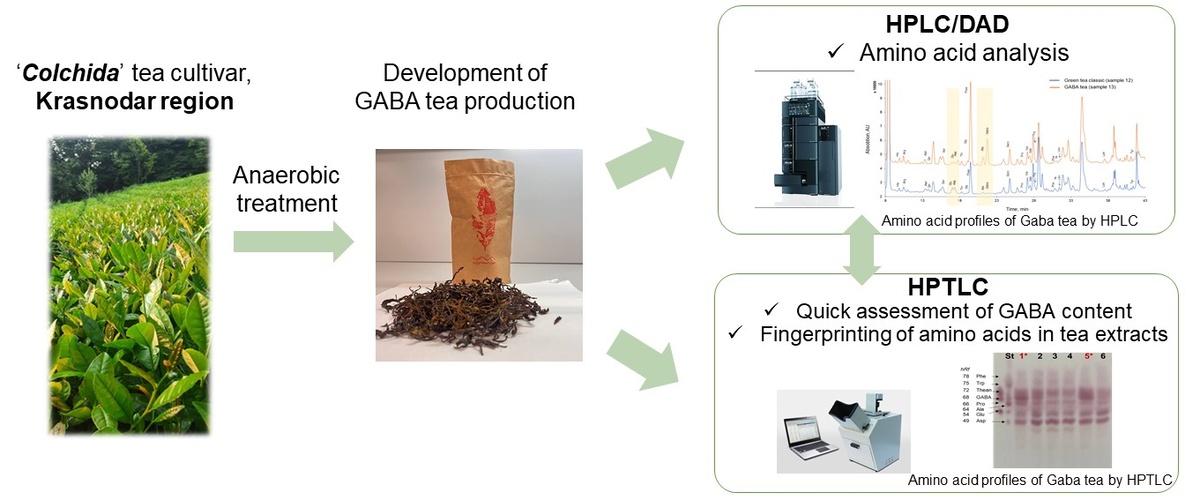 Графическое резюме исследования. Источник: Людмила Карцова