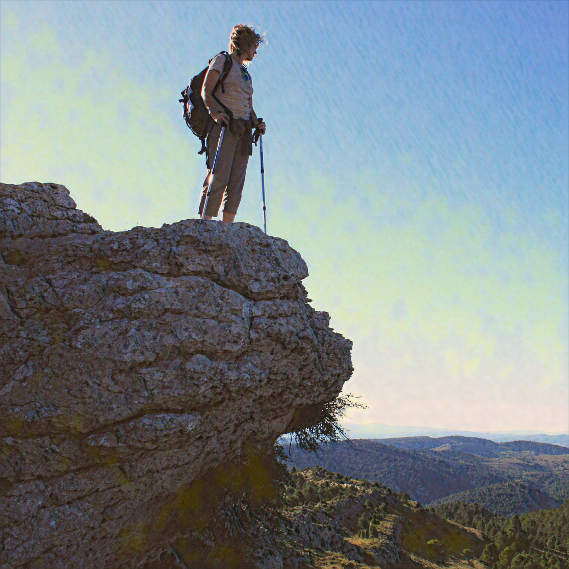 Фотография из открытого источника pixabay com
