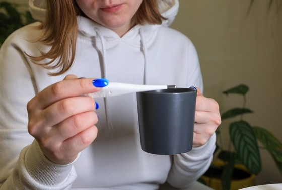    Наталья Шатохина/NEWS.ru