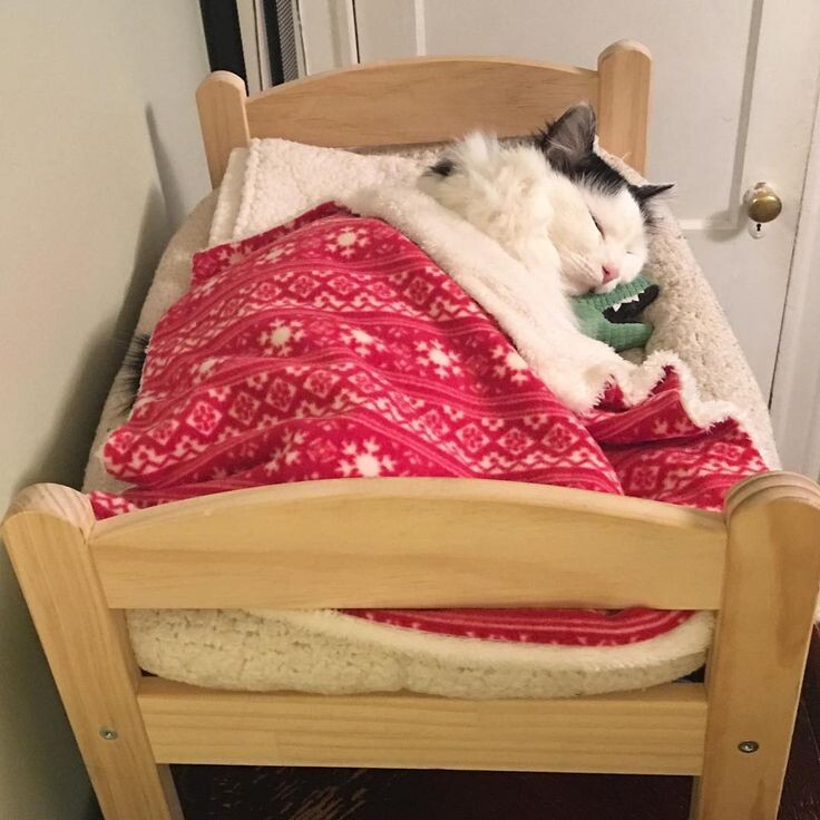 ЕСЛИ ВЫ НЕ МОЖЕТЕ ФУНКЦИОНИРОВАТЬ, СПАВ МЕНЕЕ 7 ЧАСОВ, ВИНИ В ЭТОМ СВОЮ ГЕНЕТИКУ И ВОЗРАСТ.