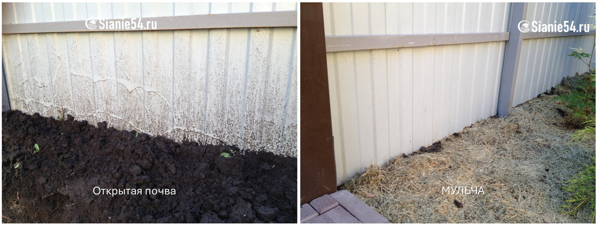 Вам как больше нравится?