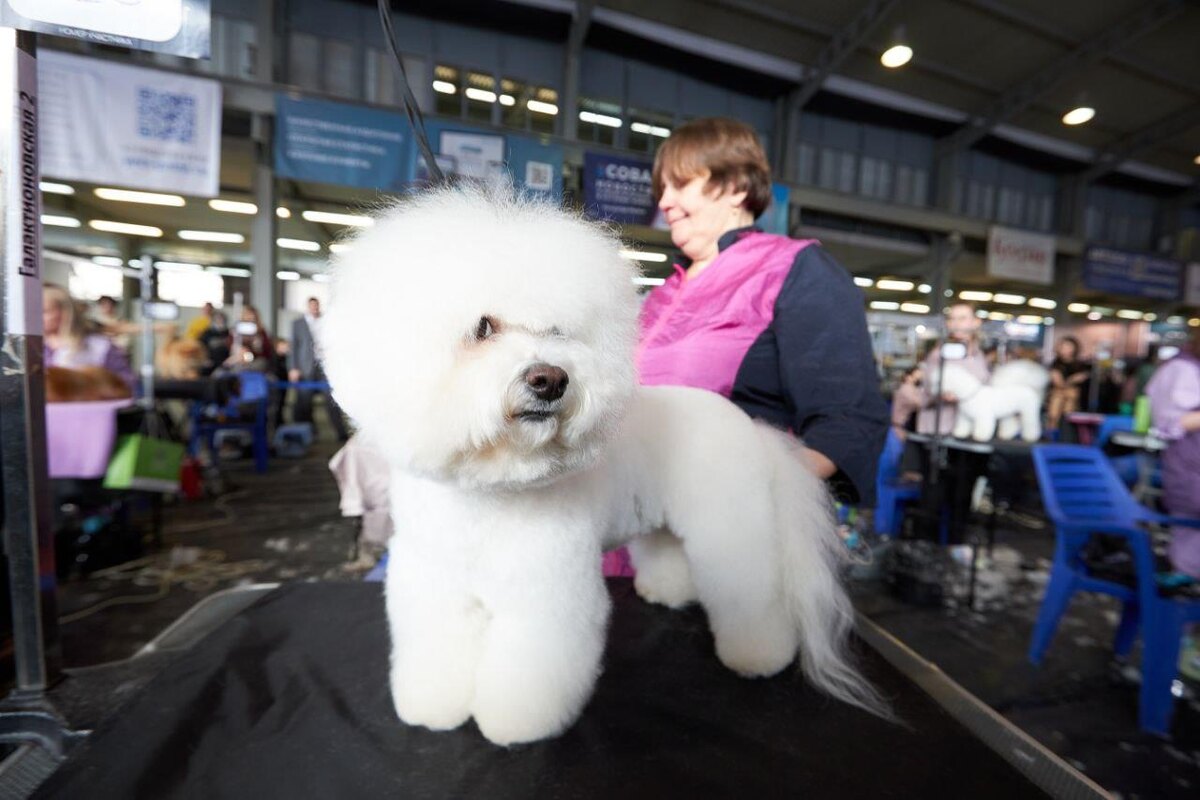    Фото Экспо-Волга