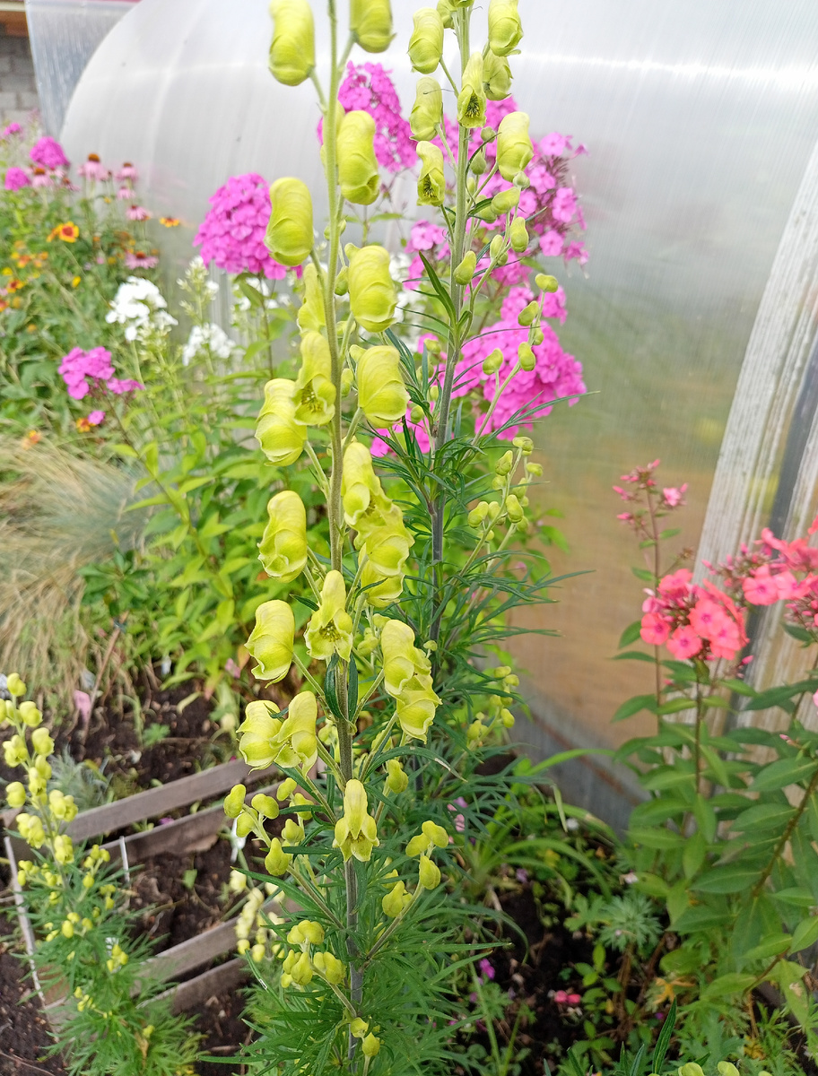 Листайте галерею, 3 фото