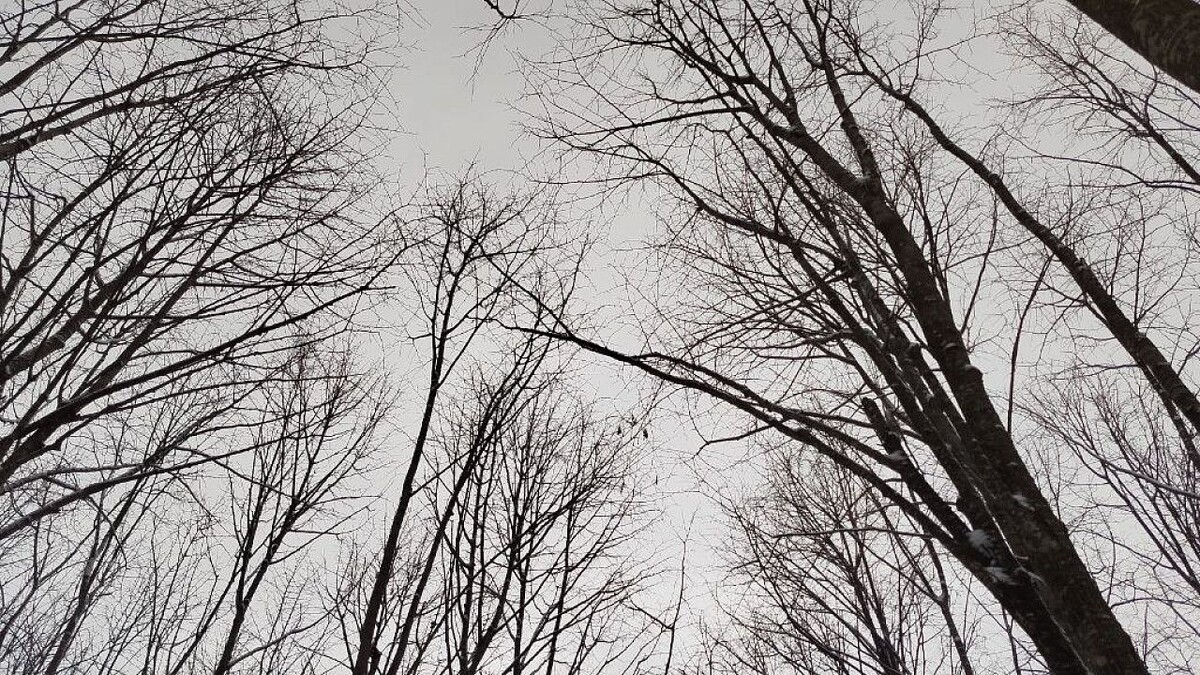    Фото: телеканал «Краснодар»