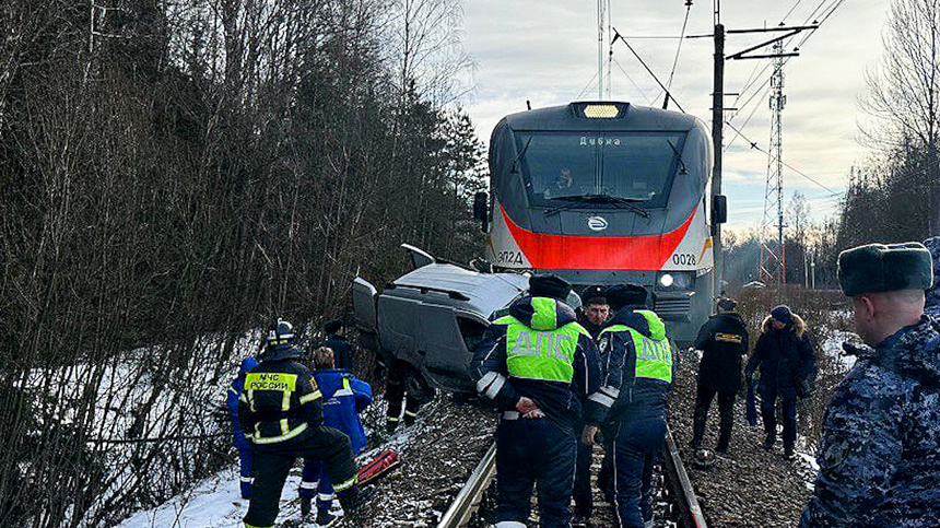    Фото: Telegram/Подмосковная полиция/gumvd50; 5-tv.ru