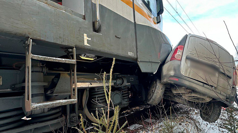    Фото: Telegram/Подмосковная полиция/gumvd50;