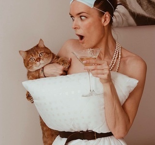 t.meD&B/ Булки, котики, вино