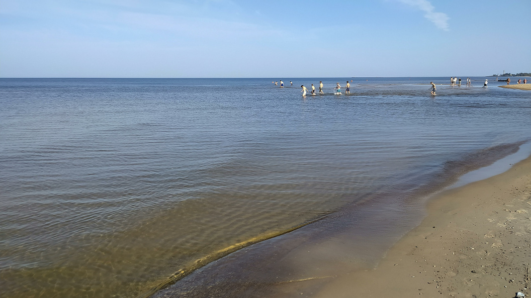    Виктор Лисицын/Globallookpress