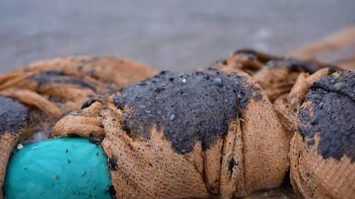    Фото: Оперативный штаб Краснодарский край