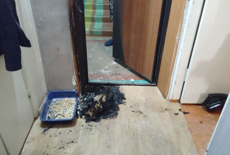    На месте возгорания (оперативная съёмка Отдела надзорной деятельности и профилактической работы по г. Камышину, Камышинскому, Котовскому и Ольховскому районам)