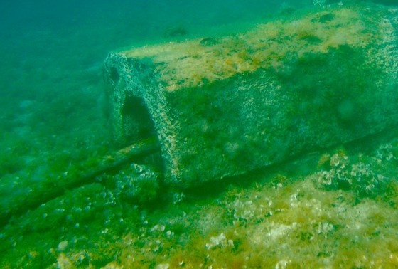    Shutterstock/FOTODOM