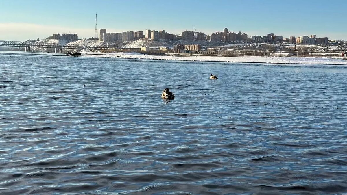     Источник: prmira.ru