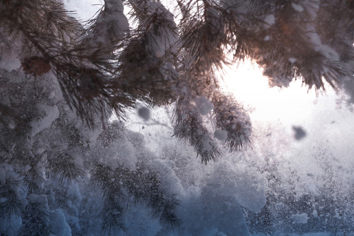 Фото: Анна Белль