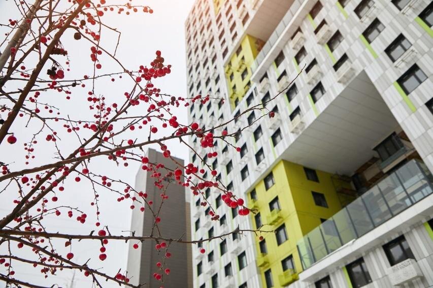 ЖК «Лайм». Источник: ЖК «Лайм»