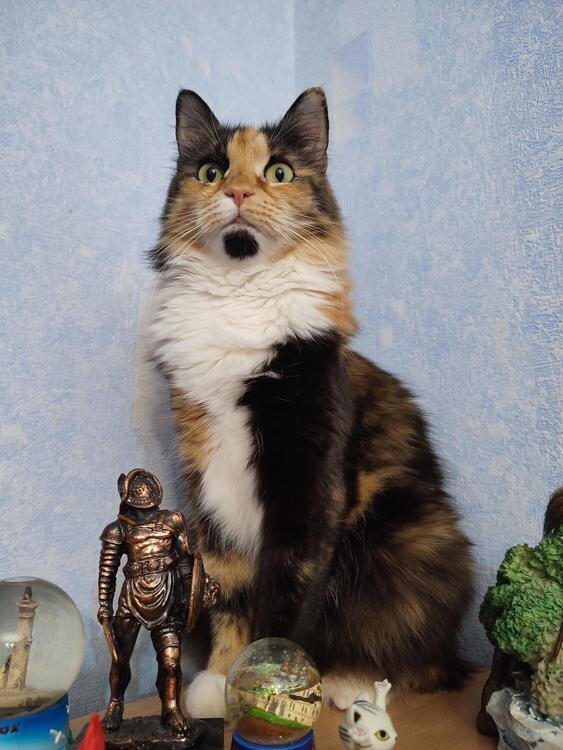 Гордая "птица" Элис