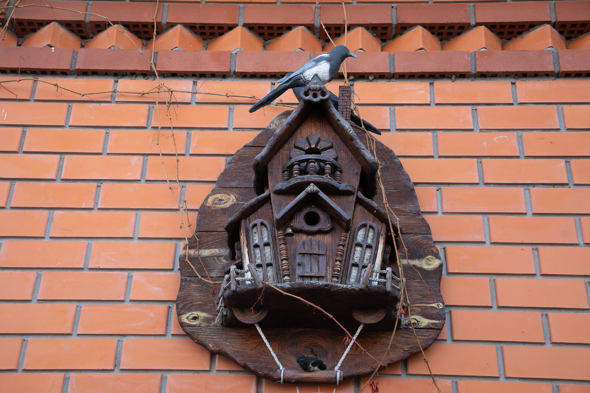 Фото Сергея Куликова