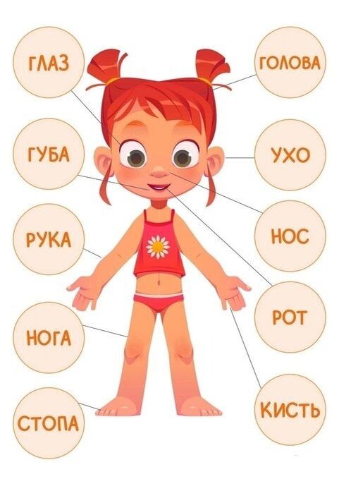 Базовая карта тела