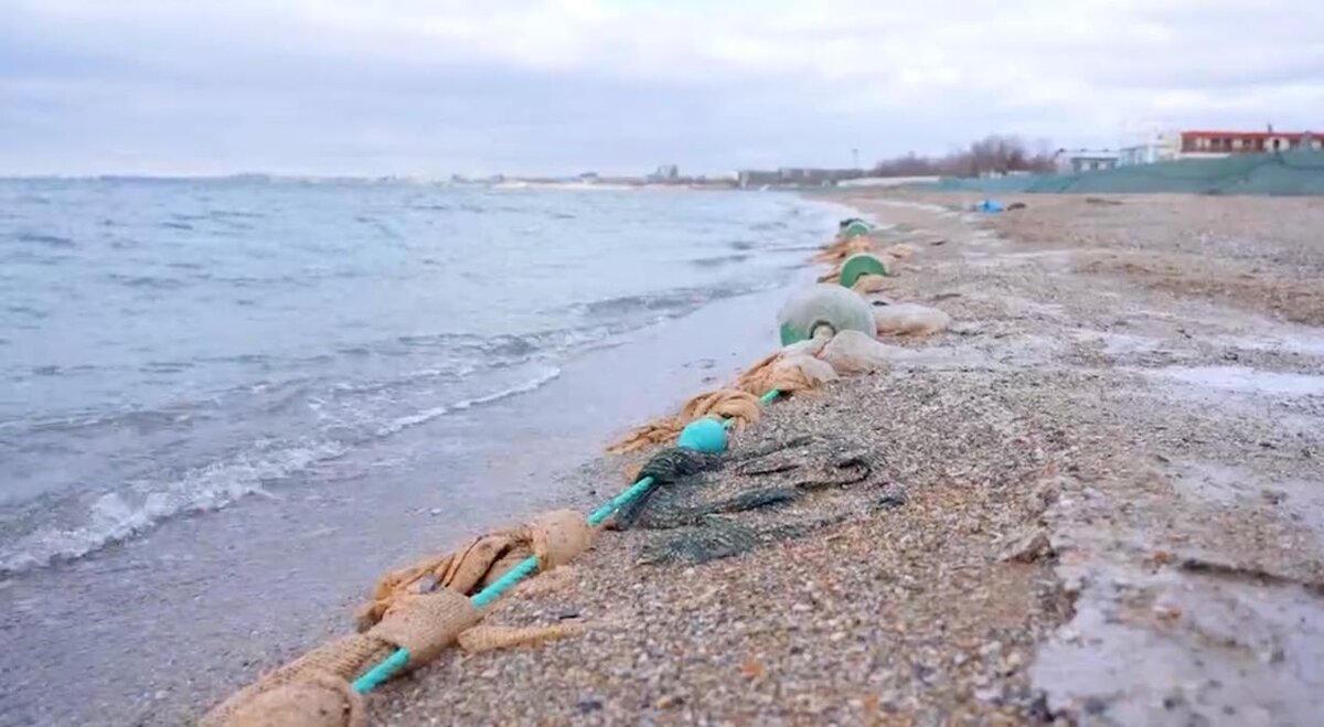    Фото: пресс-служба Оперштаба Краснодарского края