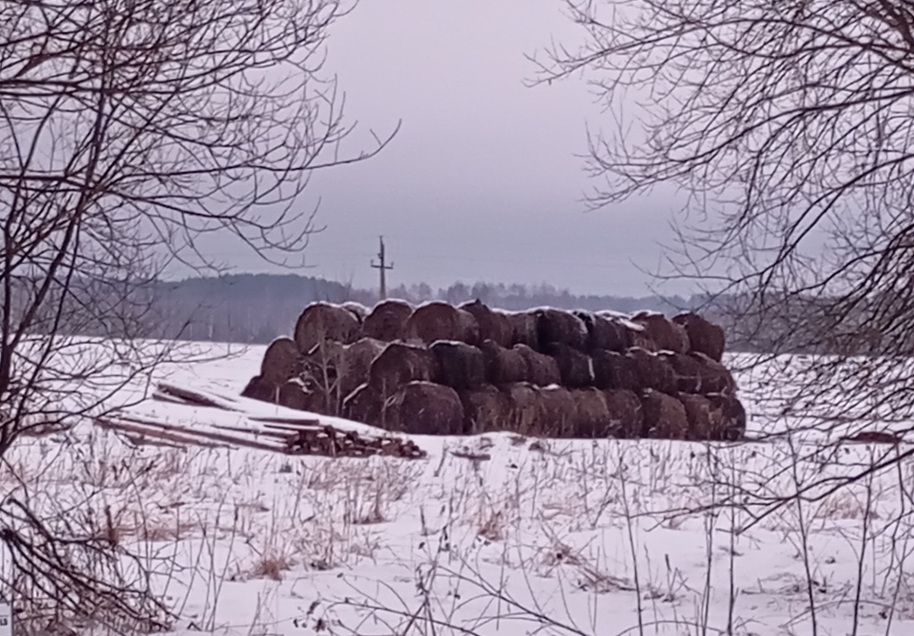  Хранение сена под открытым небом