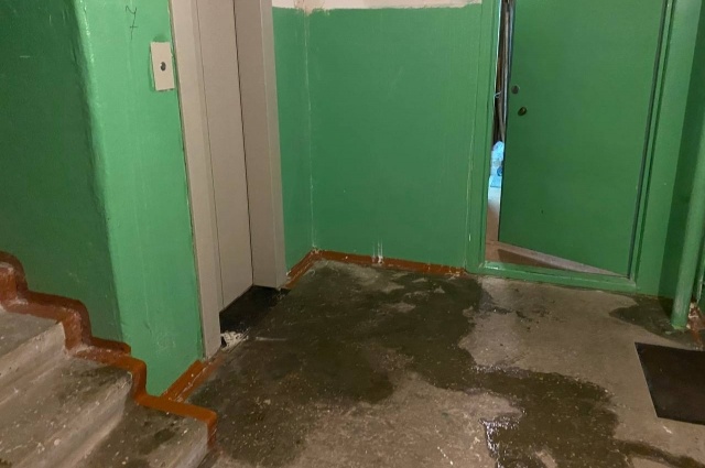    Весь подъезд заливали потоки воды с крыши — и в подъезде, и в квартирах была повышенная влажность, людям пришлось бороться с грибком и плесенью. Фото: «АиФ-Рязань»/ Вера Колупаева