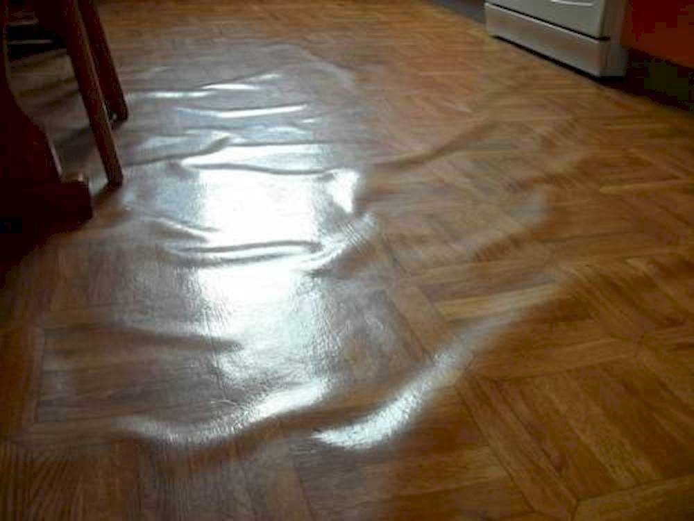 Яндекс.картинки