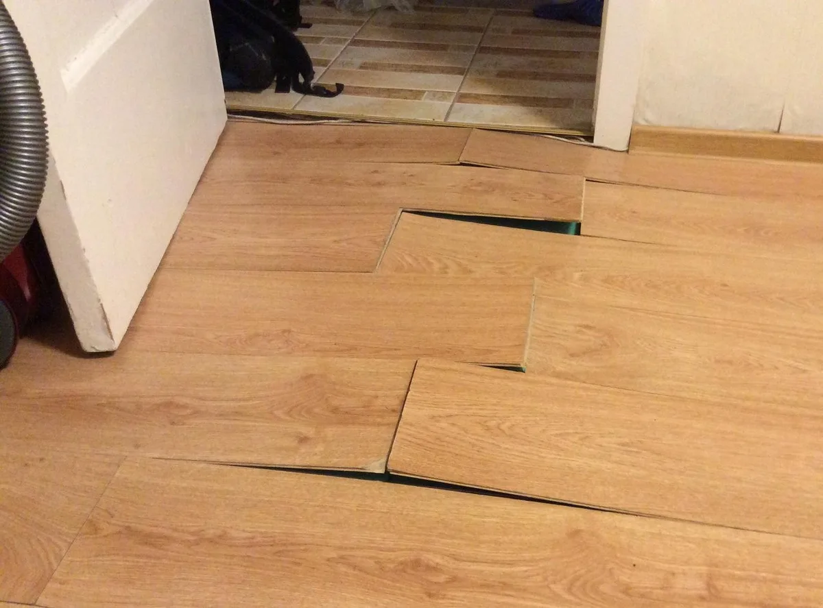 Яндекс.картинки