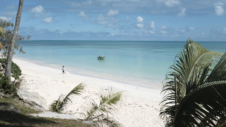 Источник: AP 2024