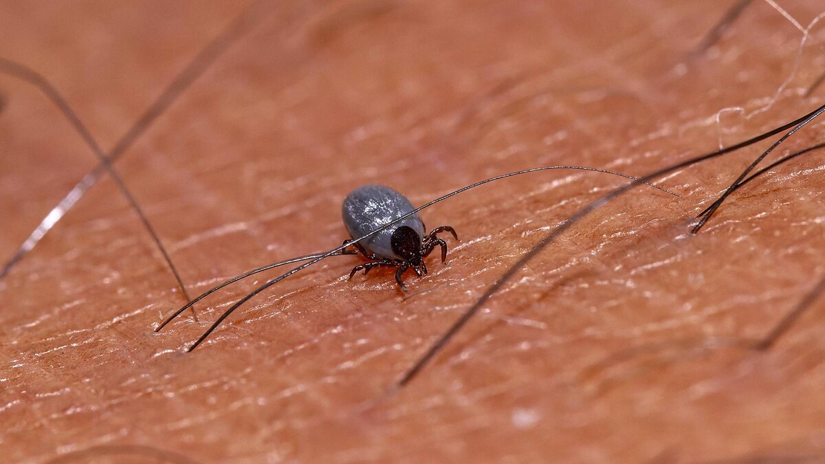    Фото: IMAGO/Bernd Feil/M.i.S./globallookpress.com