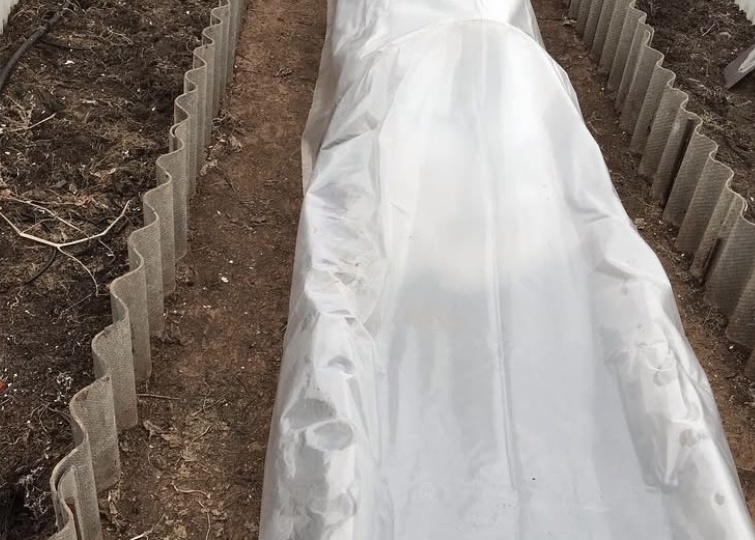Сегодня о полезном