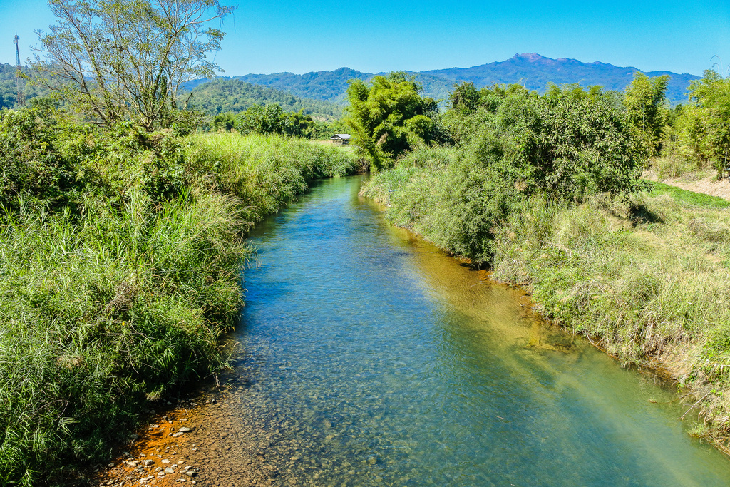    Фото с сайта pxhere.com