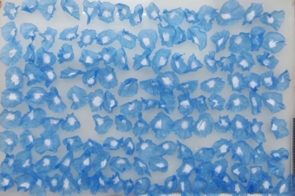    В Адыгее осудят преступную группу за покушение на сбыт наркотиков