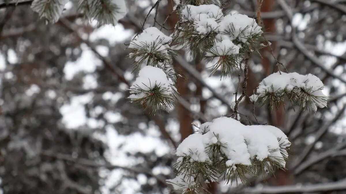     Источник: Изображение Midjourney