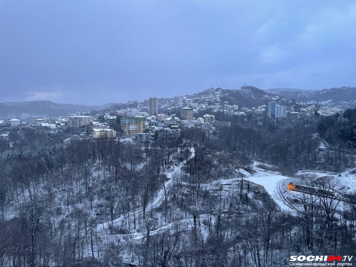 фото: Сочи 24  📷
