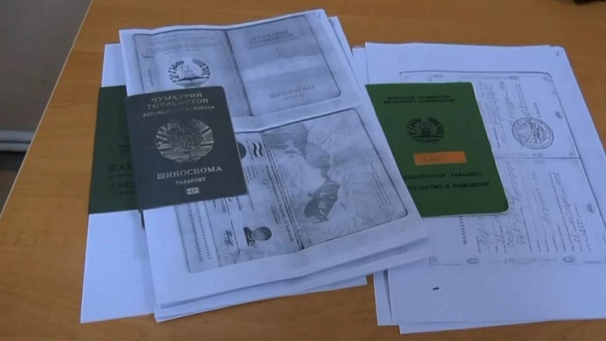 Фото: МВД Медиа