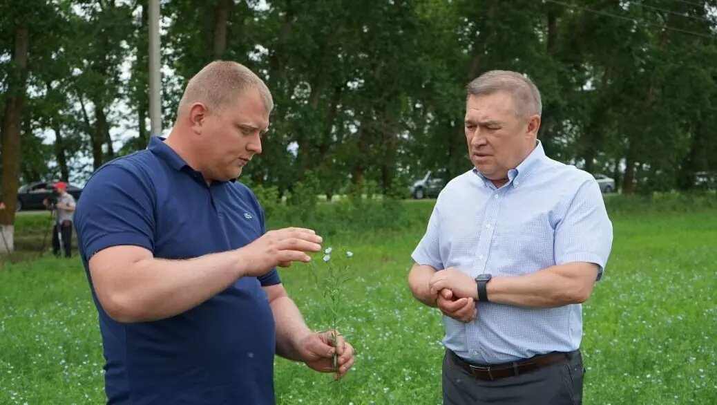     Автор: donland.ru