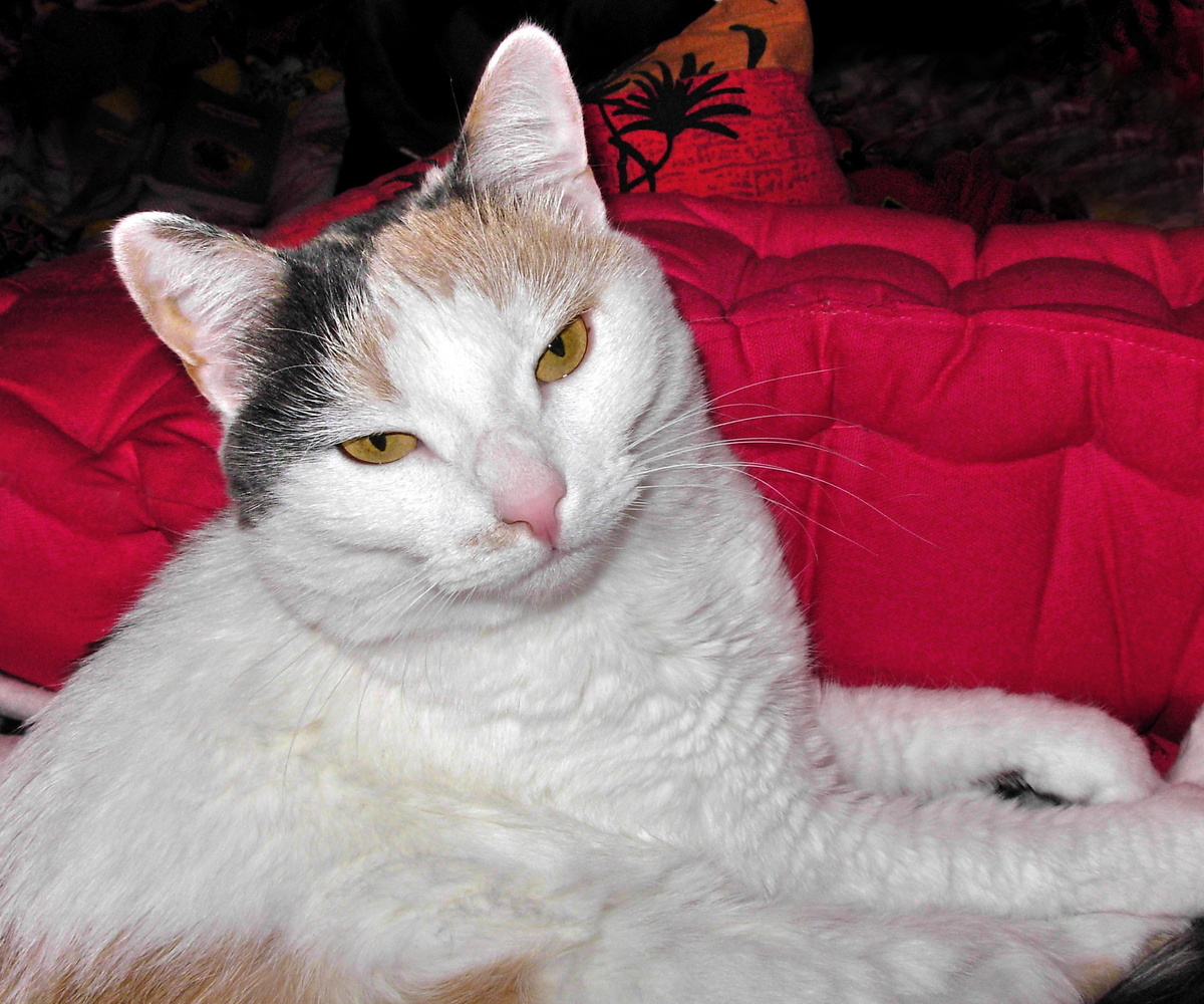 Фотография моя