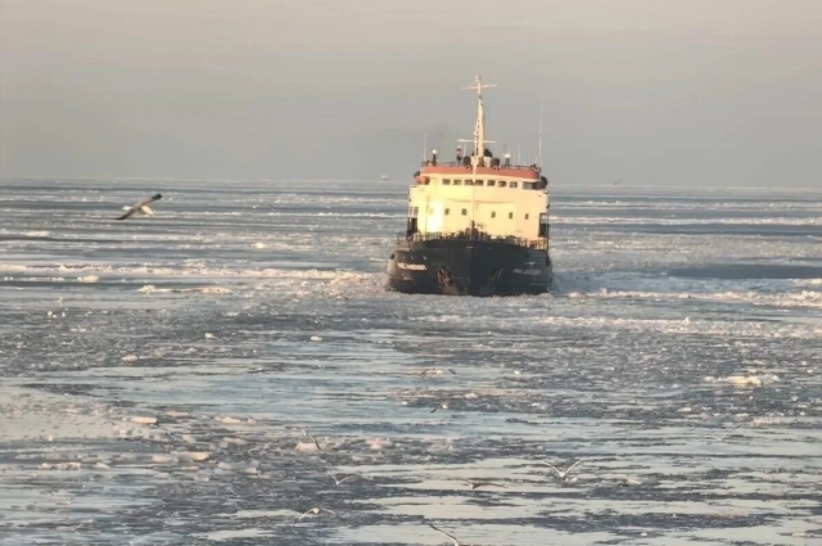   Прокуратура устроила проверку после ЧП с судами в Азовском море